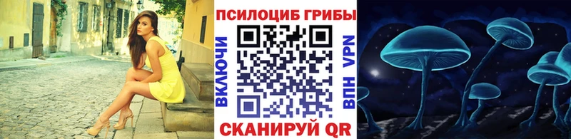 Галлюциногенные грибы Psilocybine cubensis  цена   Спасск 
